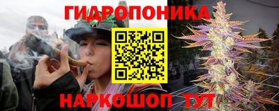 дурь Будённовск