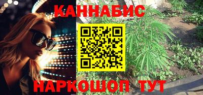 сатива Бузулук