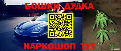 сатива Бузулук